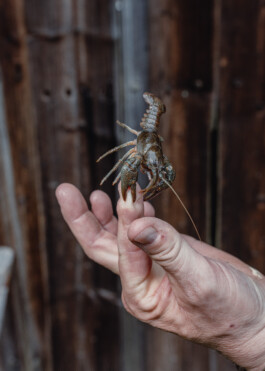 Studio Florian Voggeneder